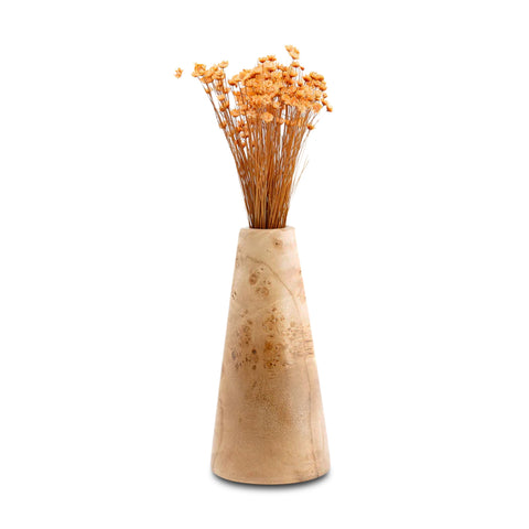 Vaso per fiori Radice, legno di pioppo